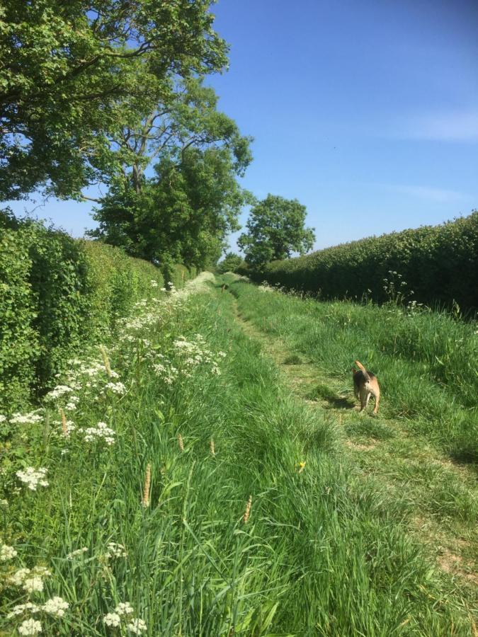 Baltonsborough The Long Barn 빌라 외부 사진